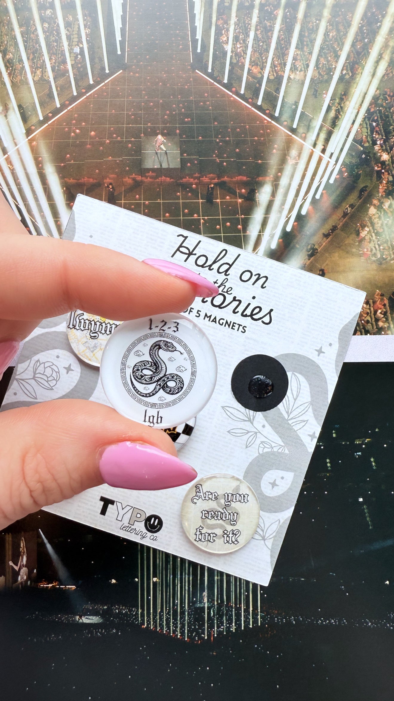 Taylor Swift inspired Reputation 5 piece magnet set