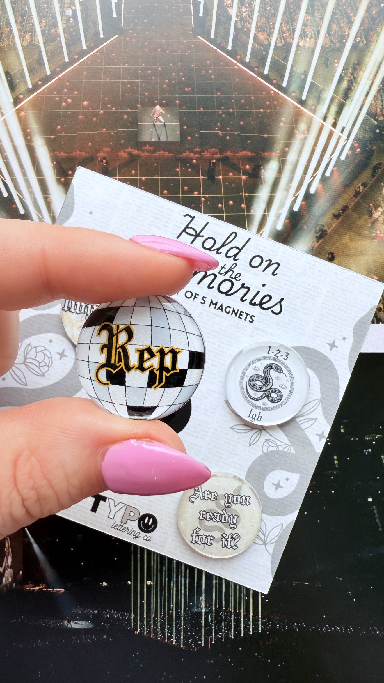 Taylor Swift inspired Reputation 5 piece magnet set