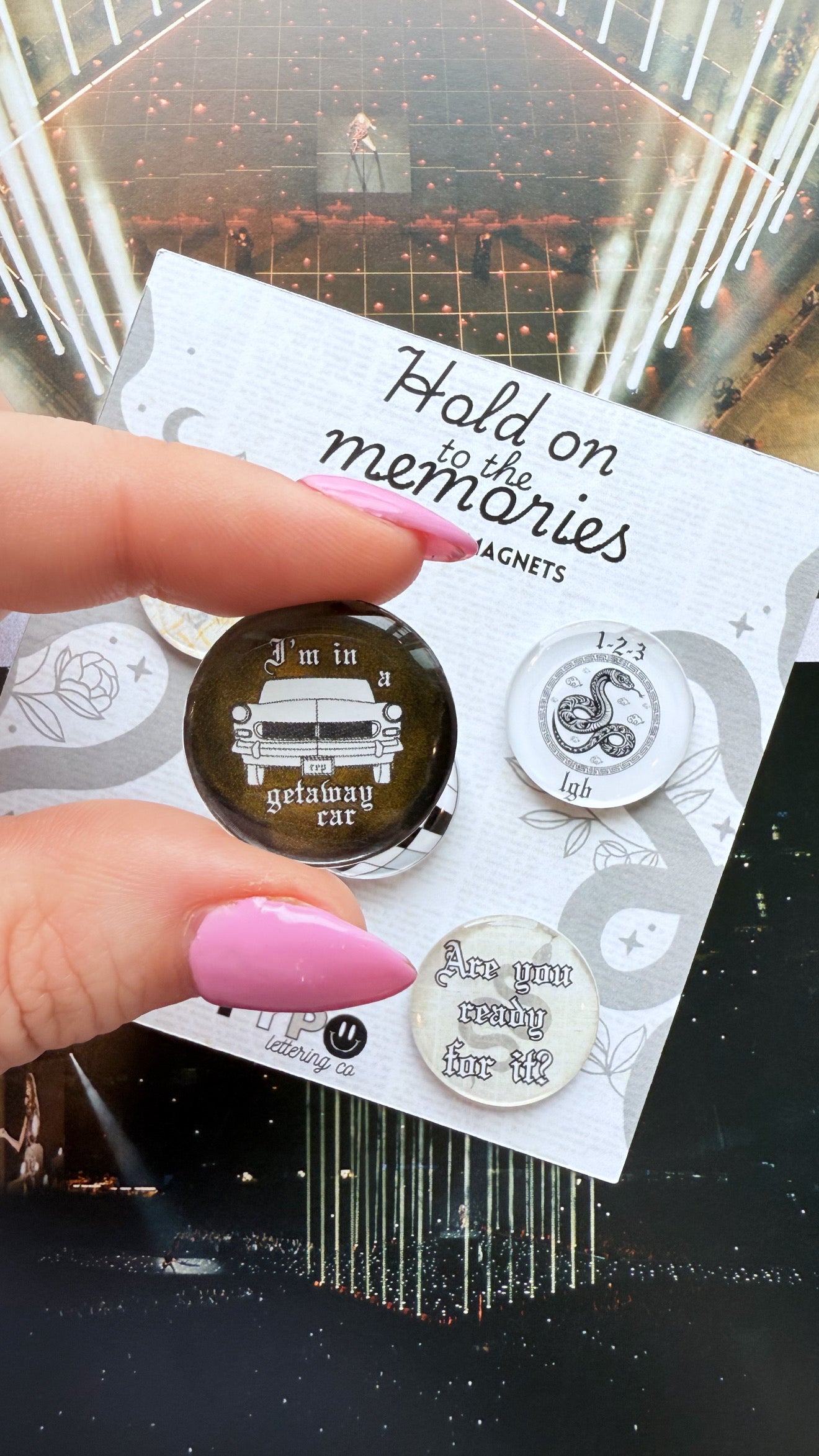 Taylor Swift inspired Reputation 5 piece magnet set