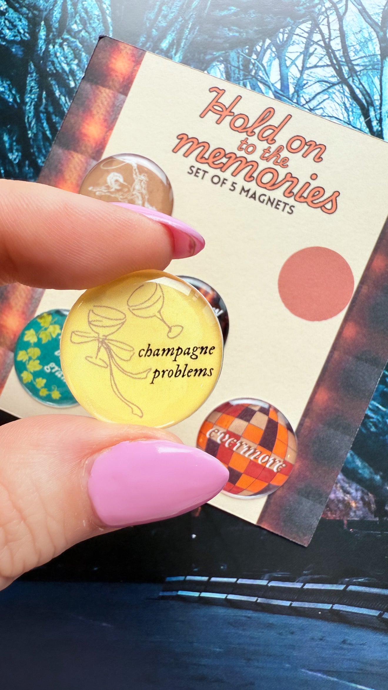 Taylor Swift Inspired Evermore 5 pack of magnets