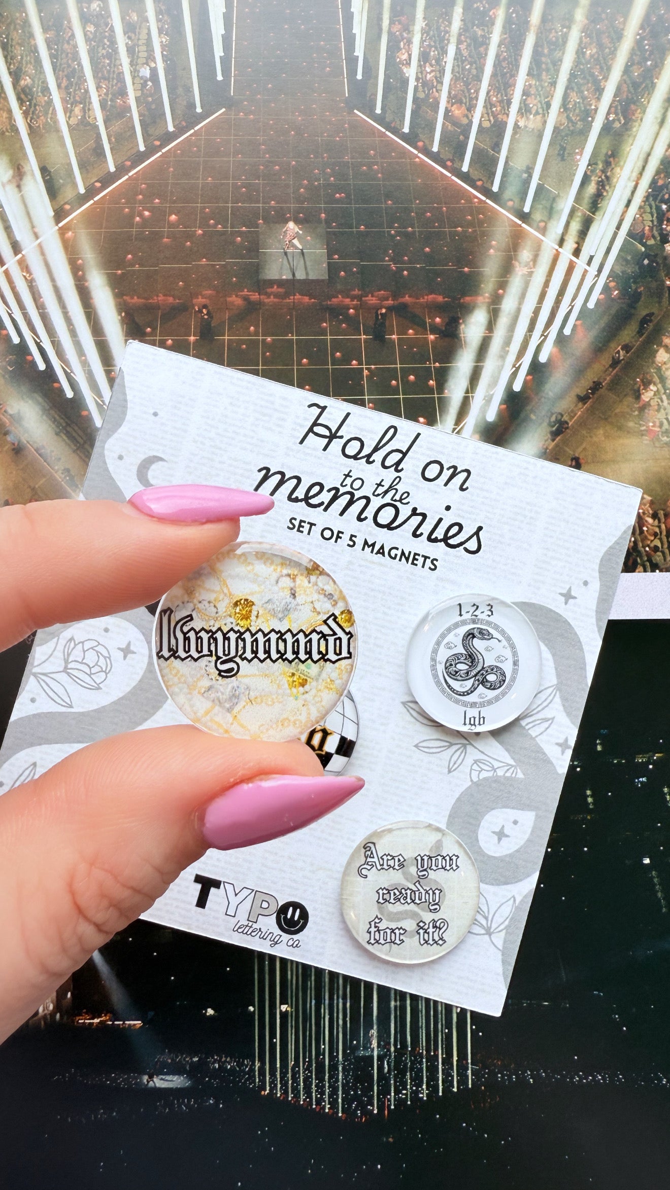 Taylor Swift inspired Reputation 5 piece magnet set