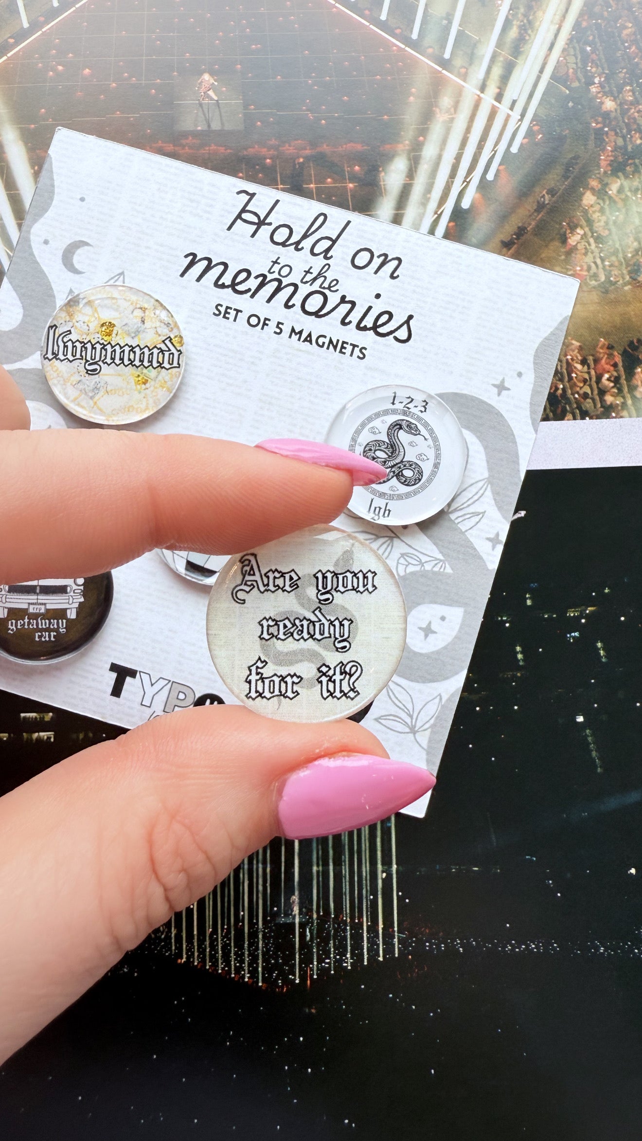 Taylor Swift inspired Reputation 5 piece magnet set