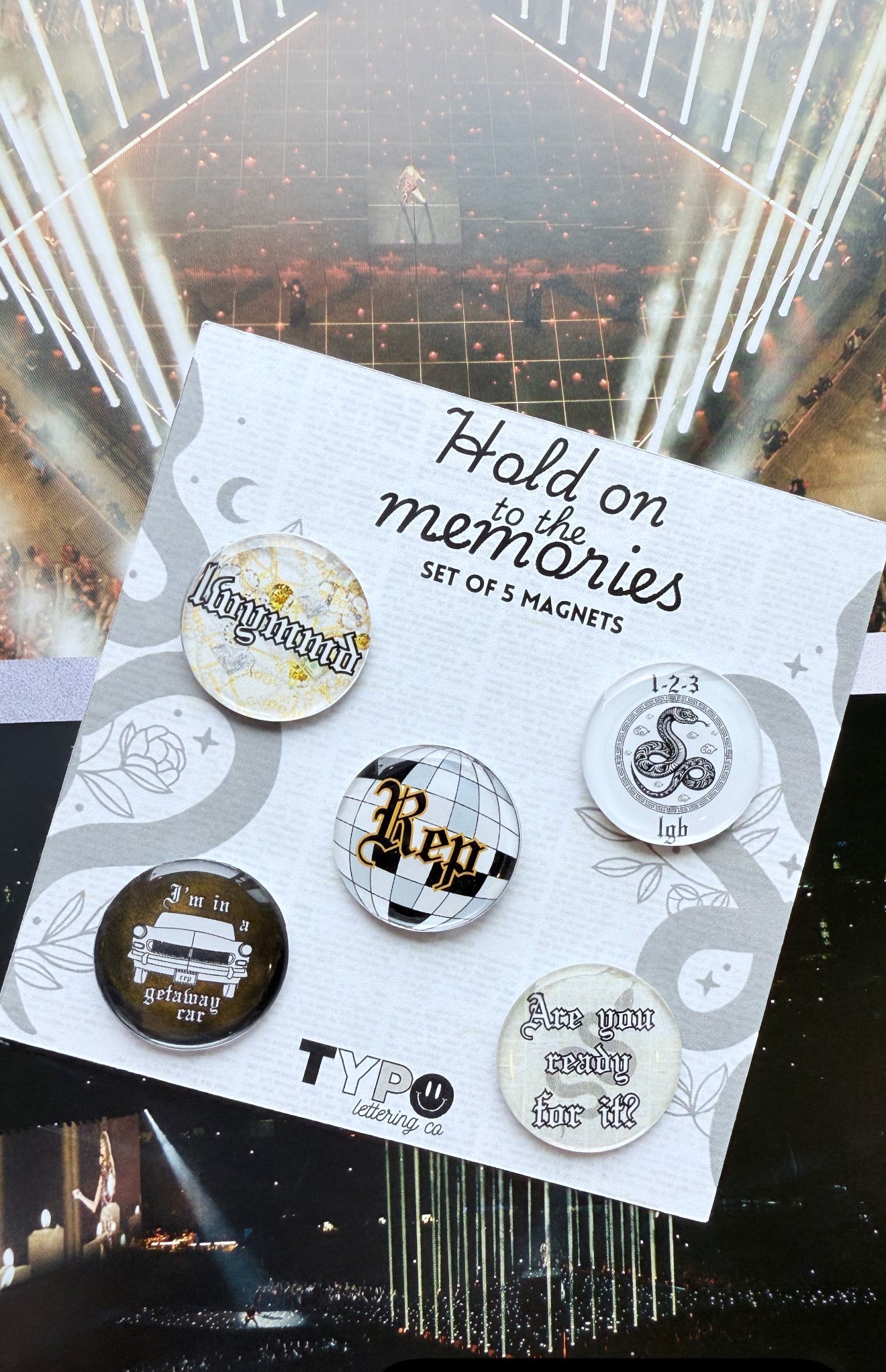 Taylor Swift inspired Reputation 5 piece magnet set