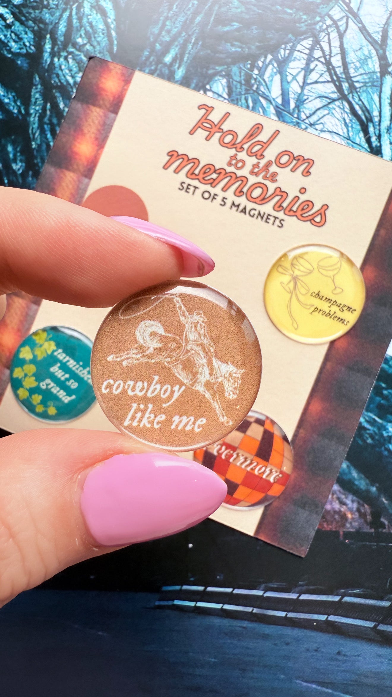 Taylor Swift Inspired Evermore 5 pack of magnets
